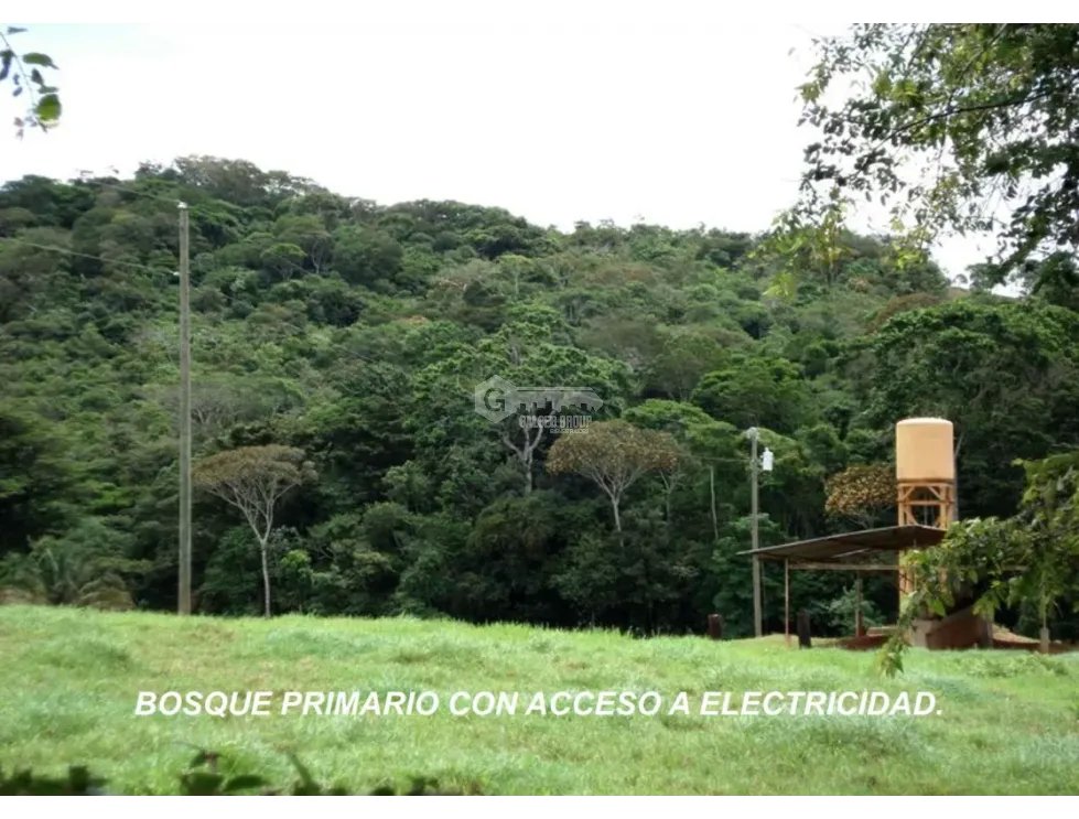 CAPIRA / CERMEÑO / 6 HECTAREAS / BOSQUES / SENDEROS / OJOS DE AGUA