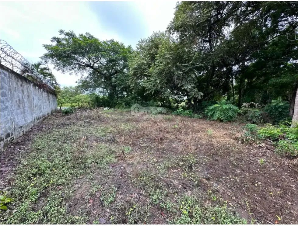CORONADO / TERRENO / 994 M2 / PLANO / PLAYA / ZONAS VERDES