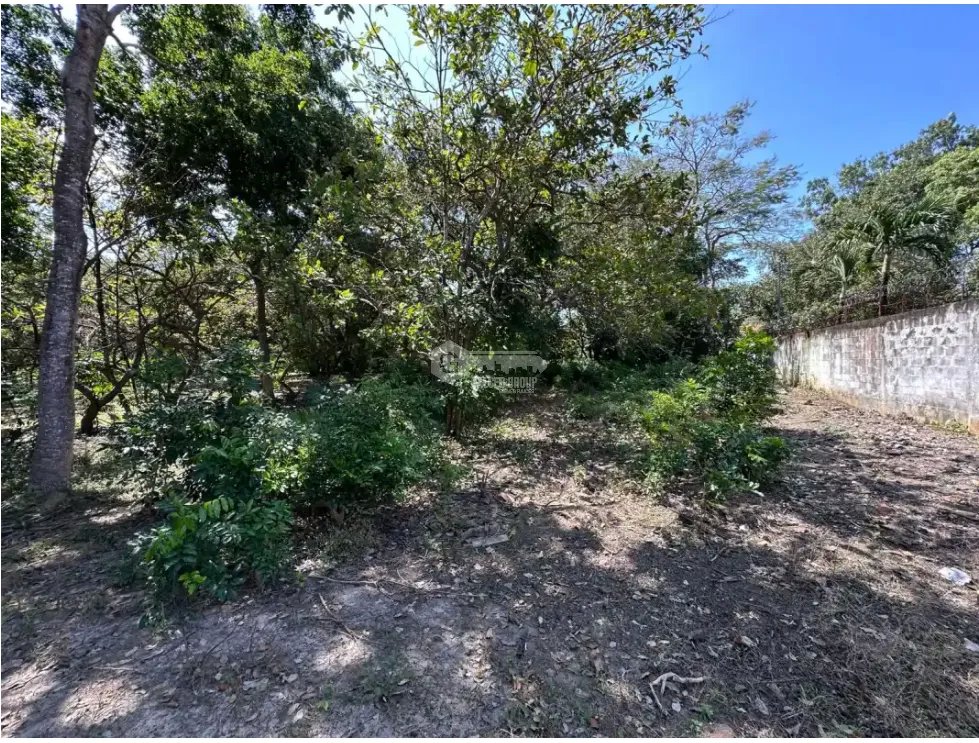 CORONADO / TERRENO / 994 M2 / PLANO / PLAYA / ZONAS VERDES
