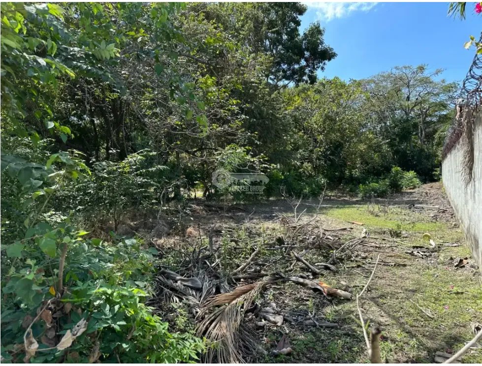 CORONADO / TERRENO / 994 M2 / PLANO / PLAYA / ZONAS VERDES