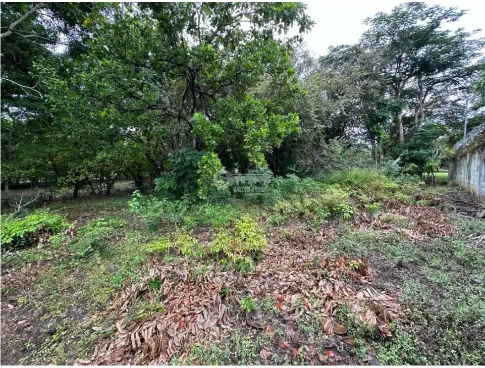 CORONADO / TERRENO / 994 M2 / PLANO / PLAYA / ZONAS VERDES