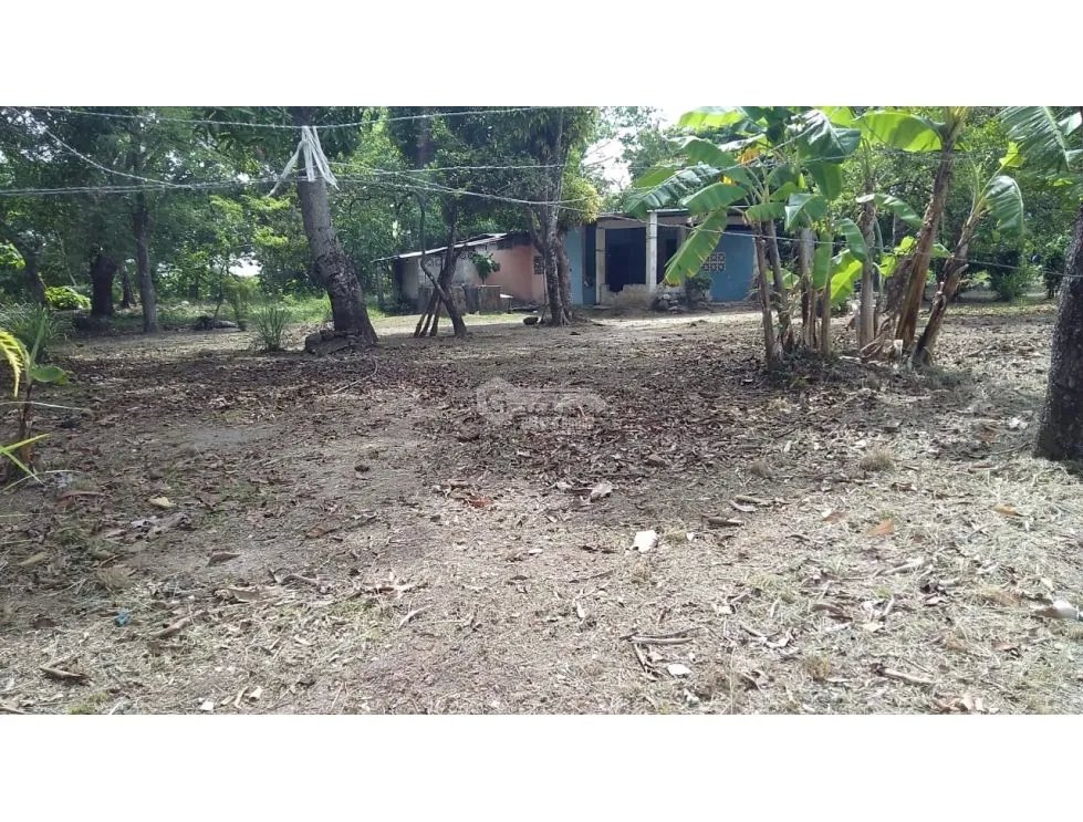 TERRENO / COCLE / SANTA RITA /  9 HECTAREAS / ARBOLES FRUTALES
