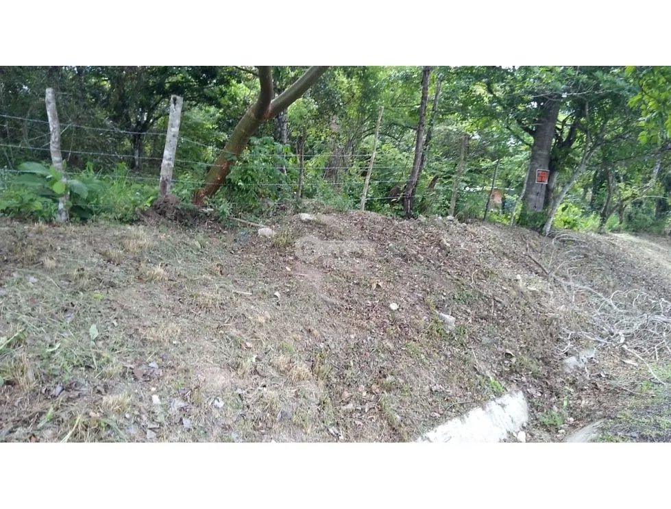 TERRENO / COCLE / SANTA RITA /  9 HECTAREAS / ARBOLES FRUTALES