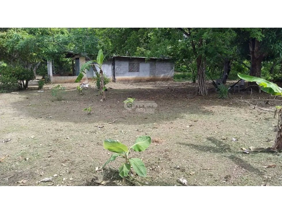 TERRENO / COCLE / SANTA RITA /  9 HECTAREAS / ARBOLES FRUTALES