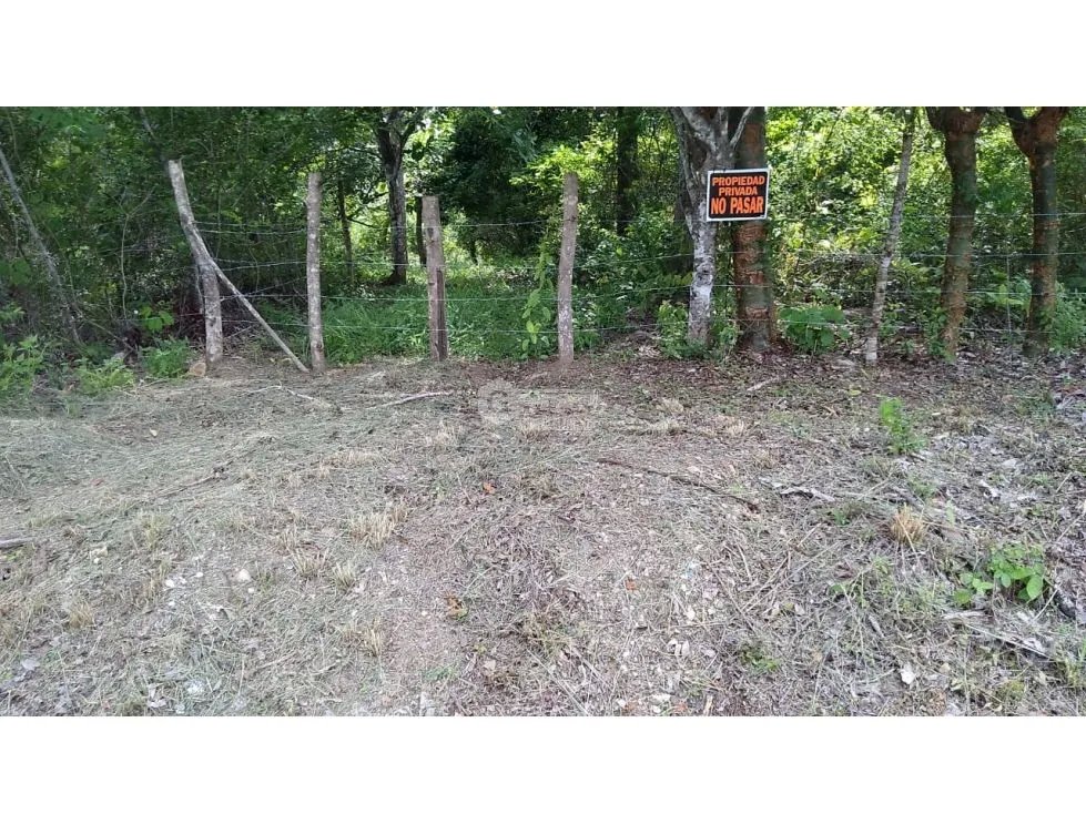 TERRENO / COCLE / SANTA RITA /  9 HECTAREAS / ARBOLES FRUTALES