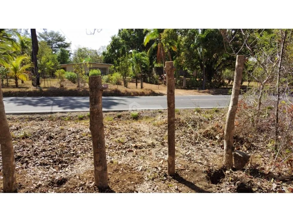 TERRENO / COCLE / SANTA RITA /  9 HECTAREAS / ARBOLES FRUTALES
