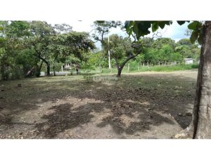 TERRENO / COCLE / SANTA RITA /  9 HECTAREAS / ARBOLES FRUTALES