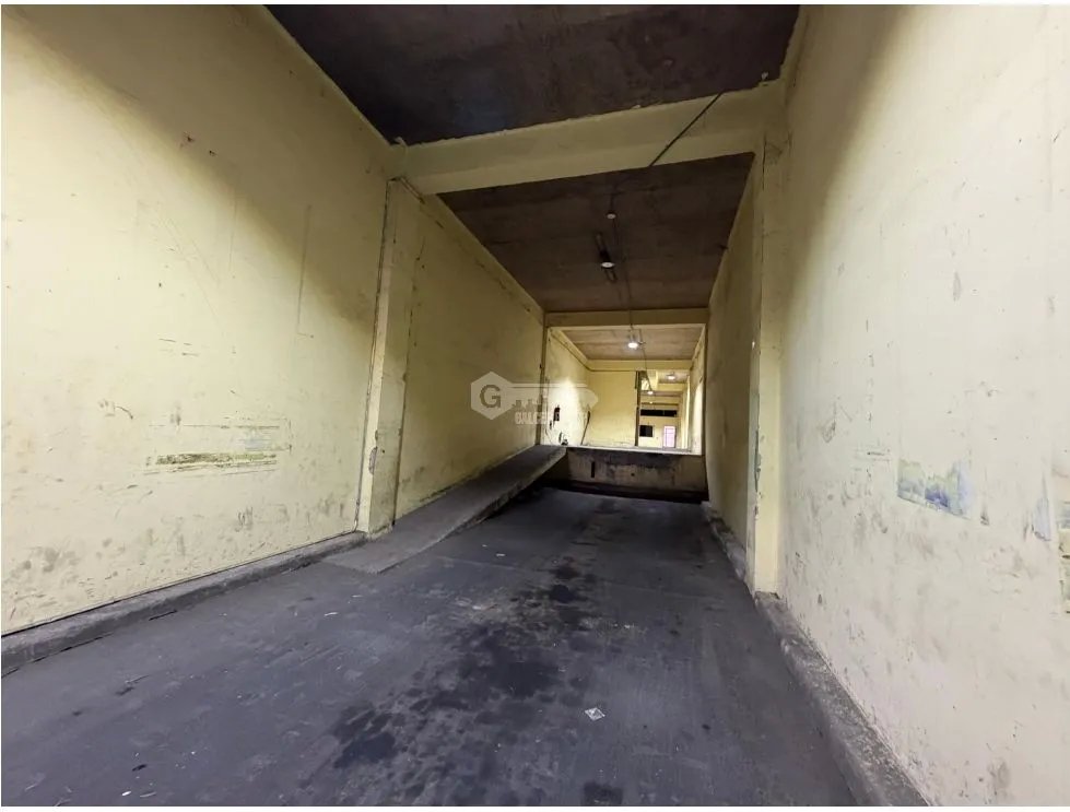 COLON / ZONA LIBRE / BODEGA COMERCIAL FRANCE FIELD / 1000M / 3 NIVELES