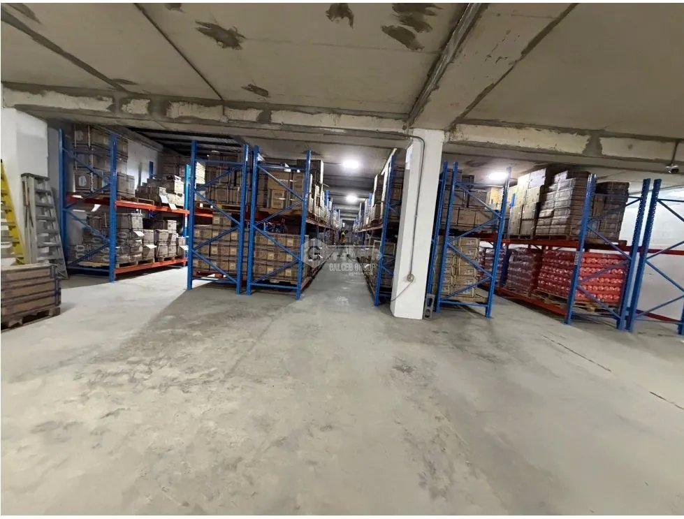 COLON / ZONA LIBRE / GALERA COMERCIAL FRANCE FIELD / 4000M / 3 NIVELES
