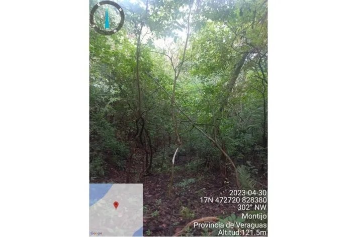 INCREDIBLE PROPERTY FOR SALE IN CEBACO ISLAND, 6.75 HECTARES (16.67 ACRES) OCEAN FRONT, WITH TITLE DEED.