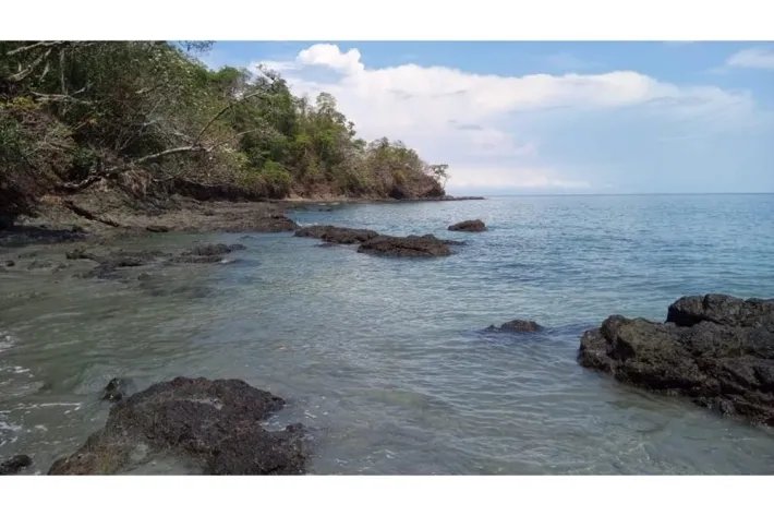 INCREDIBLE PROPERTY FOR SALE IN CEBACO ISLAND, 6.75 HECTARES (16.67 ACRES) OCEAN FRONT, WITH TITLE DEED.