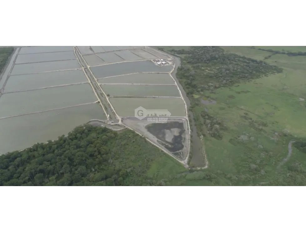 SE VENDE AMPLIO TERRENO 132 HECTAREAS EN COCLE ANTON FRENTE AL MAR