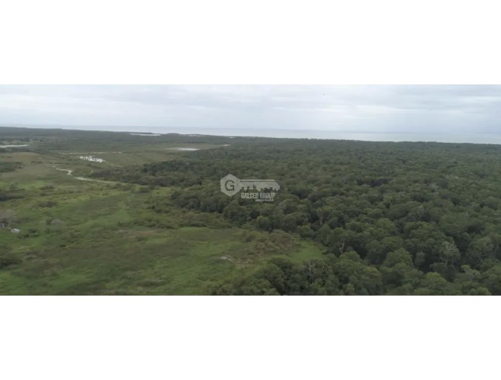 COCLE / ANTON / 132 HECTAREA / TERRENO / ZONAS VERDES / FRENTE AL MAR
