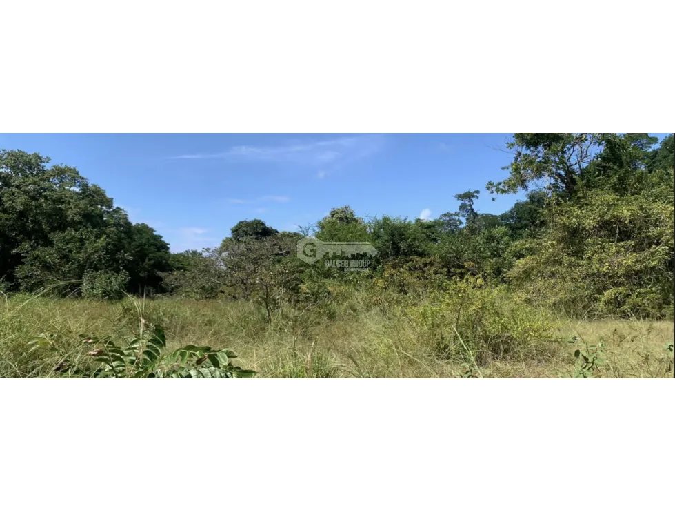 COCLE / ANTON / 132 HECTAREA / TERRENO / ZONAS VERDES / FRENTE AL MAR