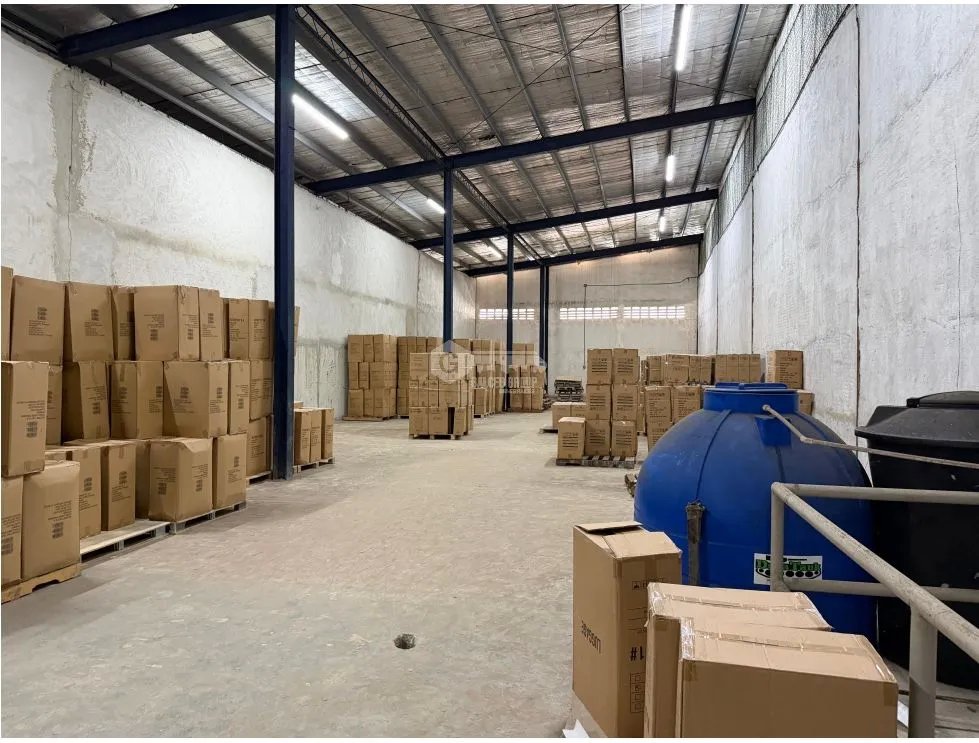 COLON / ZONA LIBRE / GALERA COMERCIAL FRANCE FIELD / 4200M / 2 NIVELES