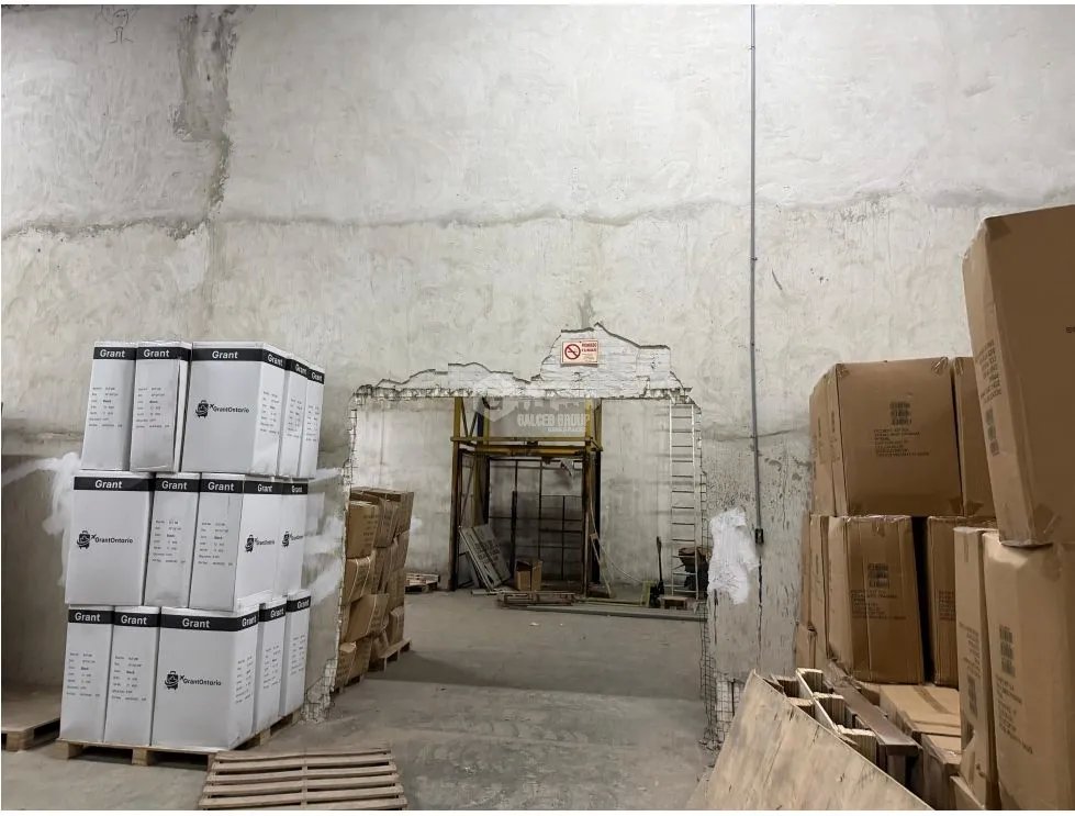 COLON / ZONA LIBRE / GALERA COMERCIAL FRANCE FIELD / 4200M / 2 NIVELES