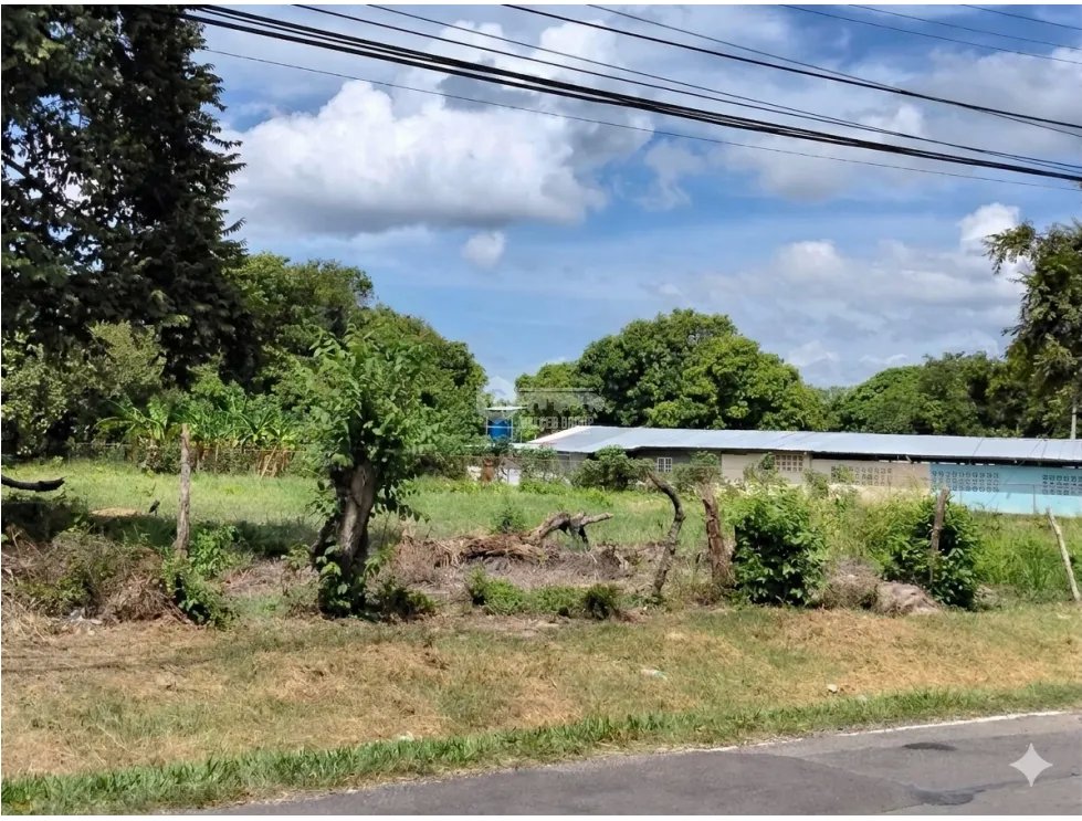 SE VENDE TERRENO  6035 M2 EN COCLE CHURUBE  SOBRE VIA ASFALTADA