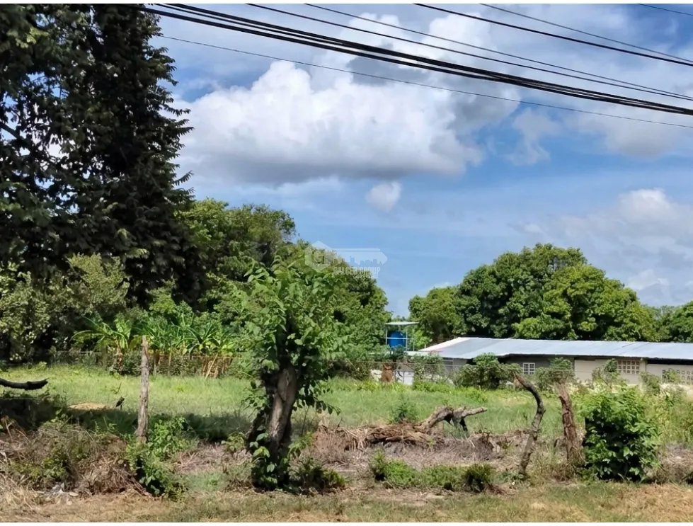 SE VENDE TERRENO  6035 M2 EN COCLE CHURUBE  SOBRE VIA ASFALTADA