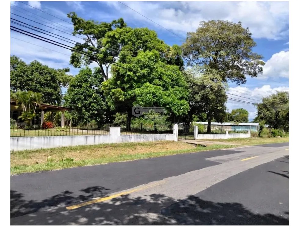 SE VENDE TERRENO  6035 M2 EN COCLE CHURUBE  SOBRE VIA ASFALTADA