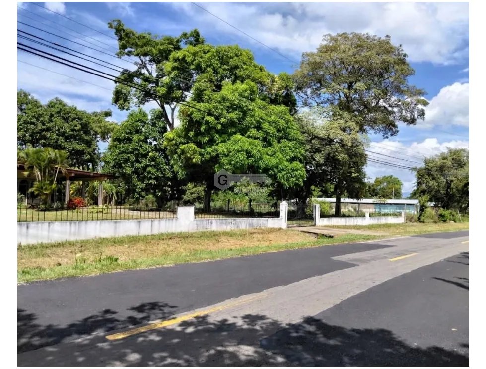 SE VENDE TERRENO  6035 M2 EN COCLE CHURUBE  SOBRE VIA ASFALTADA