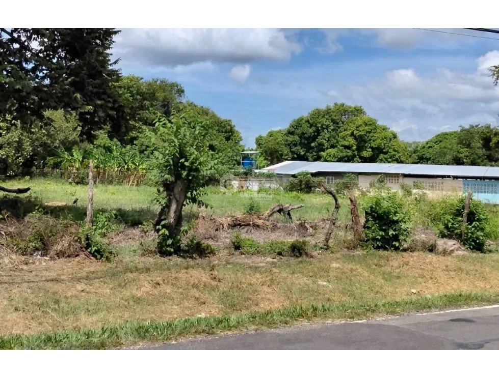SE VENDE TERRENO  6035 M2 EN COCLE CHURUBE  SOBRE VIA ASFALTADA