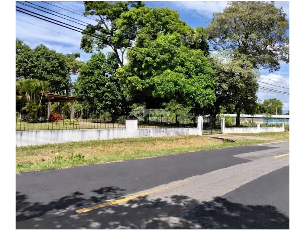 COCLE / CHURUBE / 6035 M2 / TERRENO PLANO / SOBRE VIA ASFALTADA