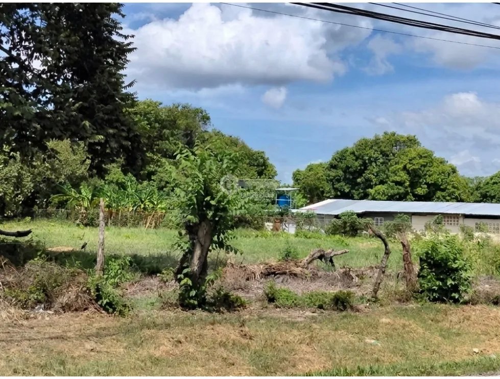 COCLE / CHURUBE / 6035 M2 / TERRENO PLANO / SOBRE VIA ASFALTADA