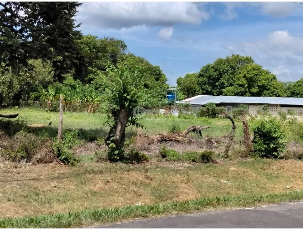COCLE / CHURUBE / 6035 M2 / TERRENO PLANO / SOBRE VIA ASFALTADA