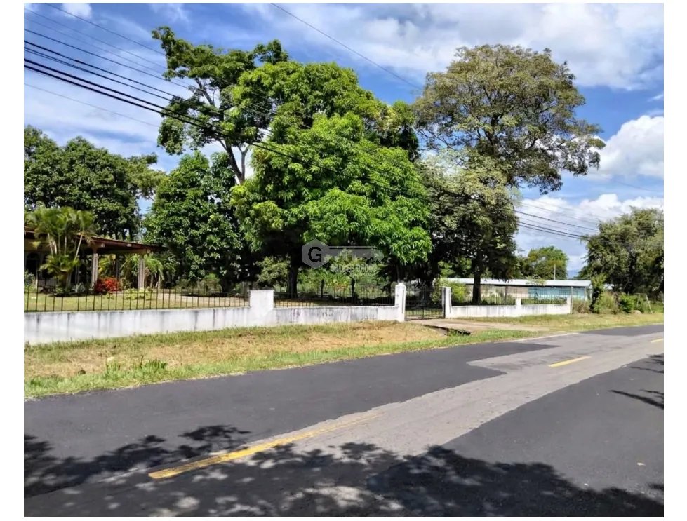 COCLE / CHURUBE / 6035 M2 / TERRENO PLANO / SOBRE VIA ASFALTADA