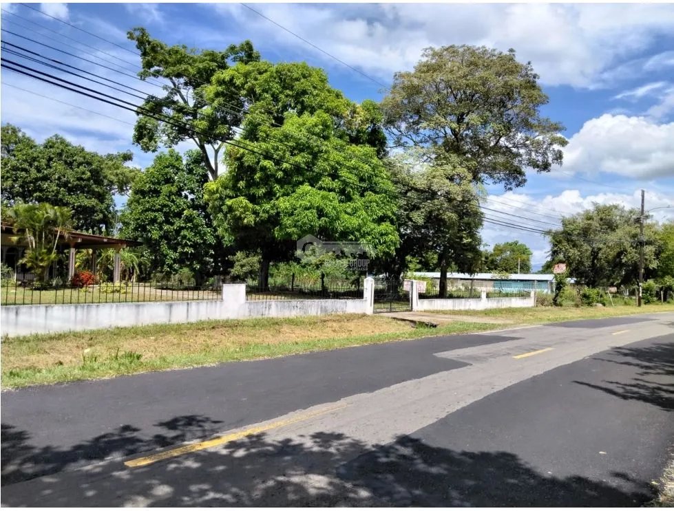 SE VENDE TERRENO 2 HECTAREAS EN COCLE CHURUBE SOBRE VIA ASFALTADA
