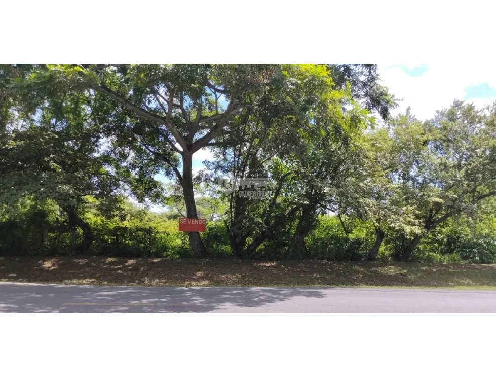 SE VENDE TERRENO 2 HECTAREAS EN COCLE CHURUBE SOBRE VIA ASFALTADA