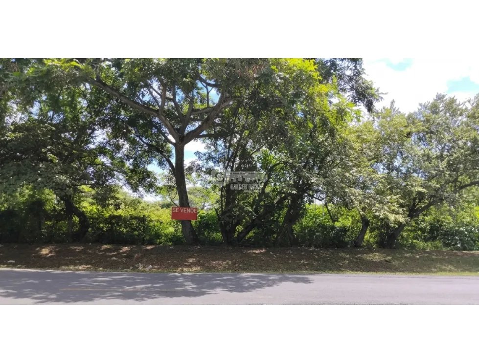 SE VENDE TERRENO 2 HECTAREAS EN COCLE CHURUBE SOBRE VIA ASFALTADA