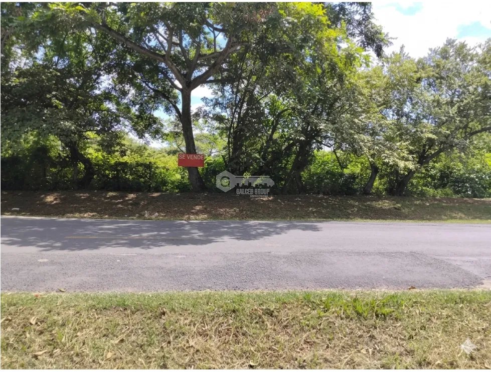 COCLE / CHURUBE / 2 HECTAREAS / TERRENO AMPLIO / SOBRE VIA ASFALTADA