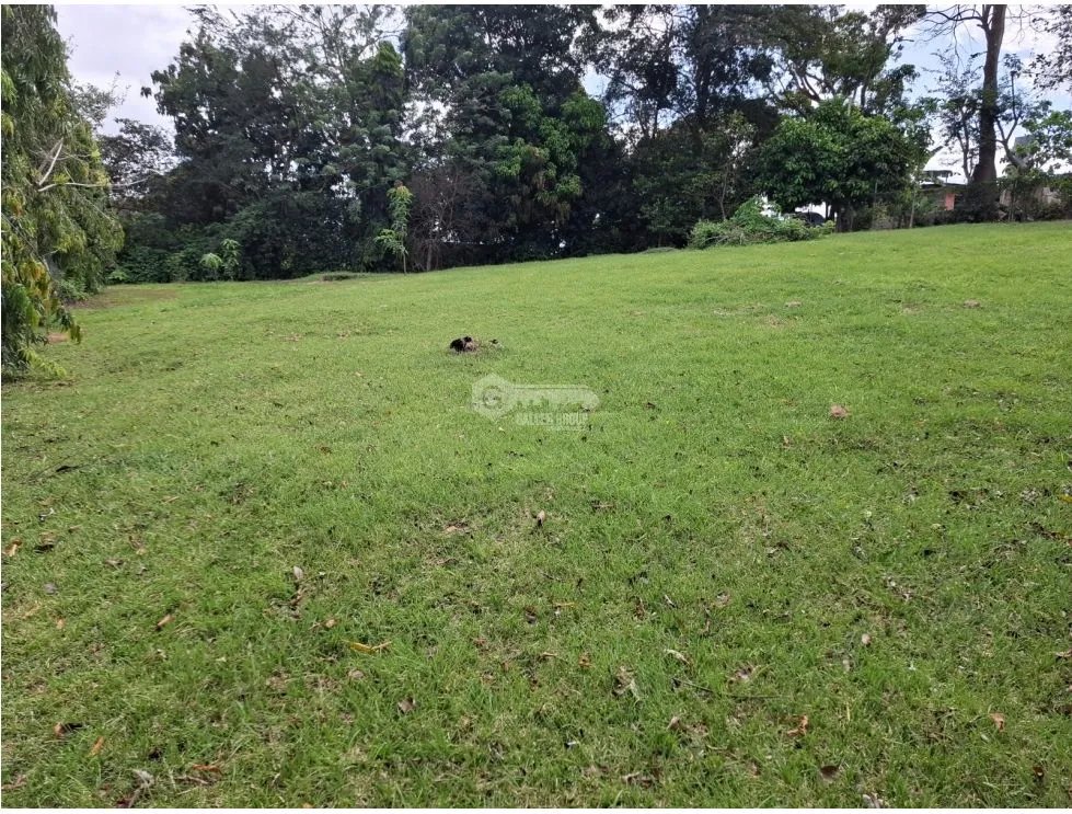 SE VENDE TERRENO 1181M EN CAPIRA CAMPANA ZONAS VERDES Y CLIMAS FRESCOS