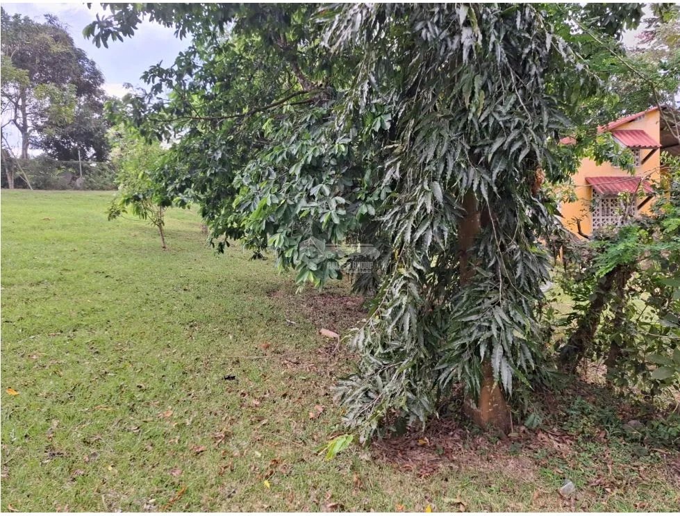 SE VENDE TERRENO 1181M EN CAPIRA CAMPANA ZONAS VERDES Y CLIMAS FRESCOS