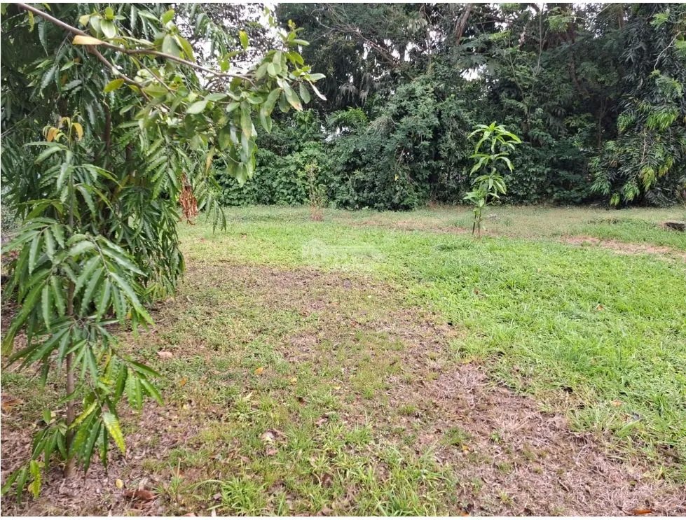 CAPIRA / CAMPANA / 1181 M2 / LAND / GREEN AREAS / COOL CLIMATE