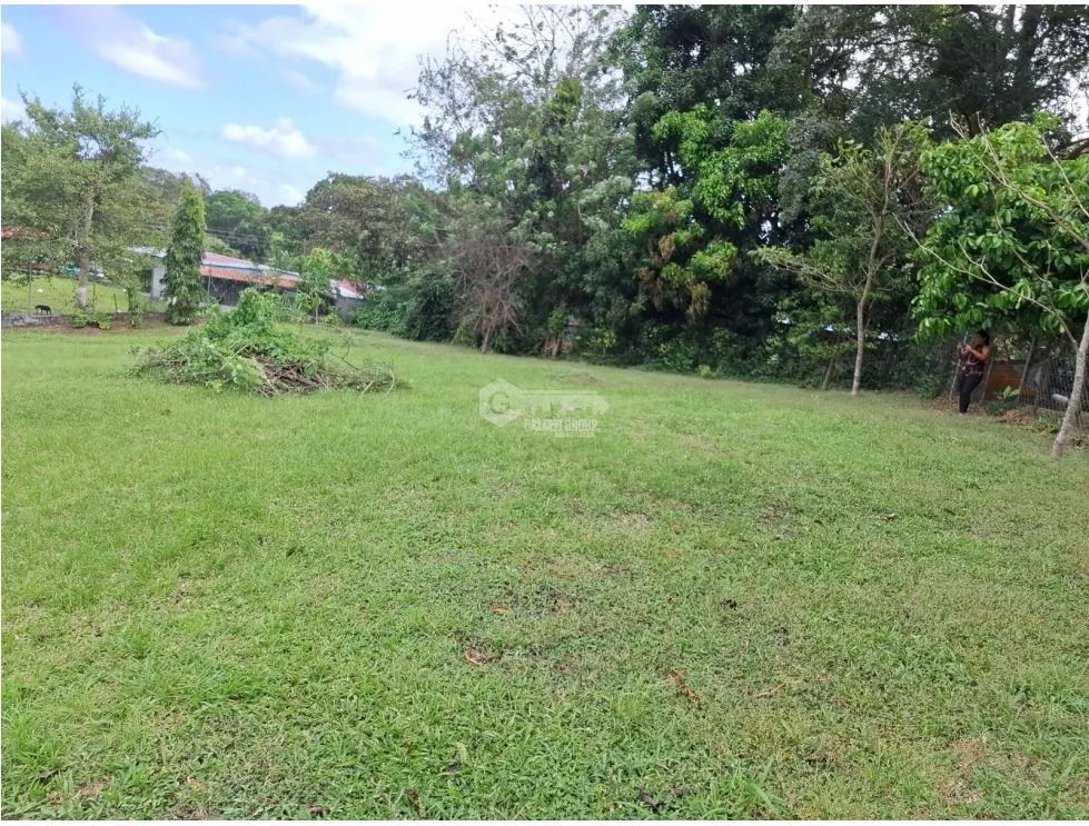CAPIRA / CAMPANA / 1181 M2 / LAND / GREEN AREAS / COOL CLIMATE