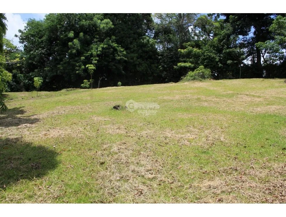 CAPIRA / CAMPANA / 1181 M2 / LAND / GREEN AREAS / COOL CLIMATE