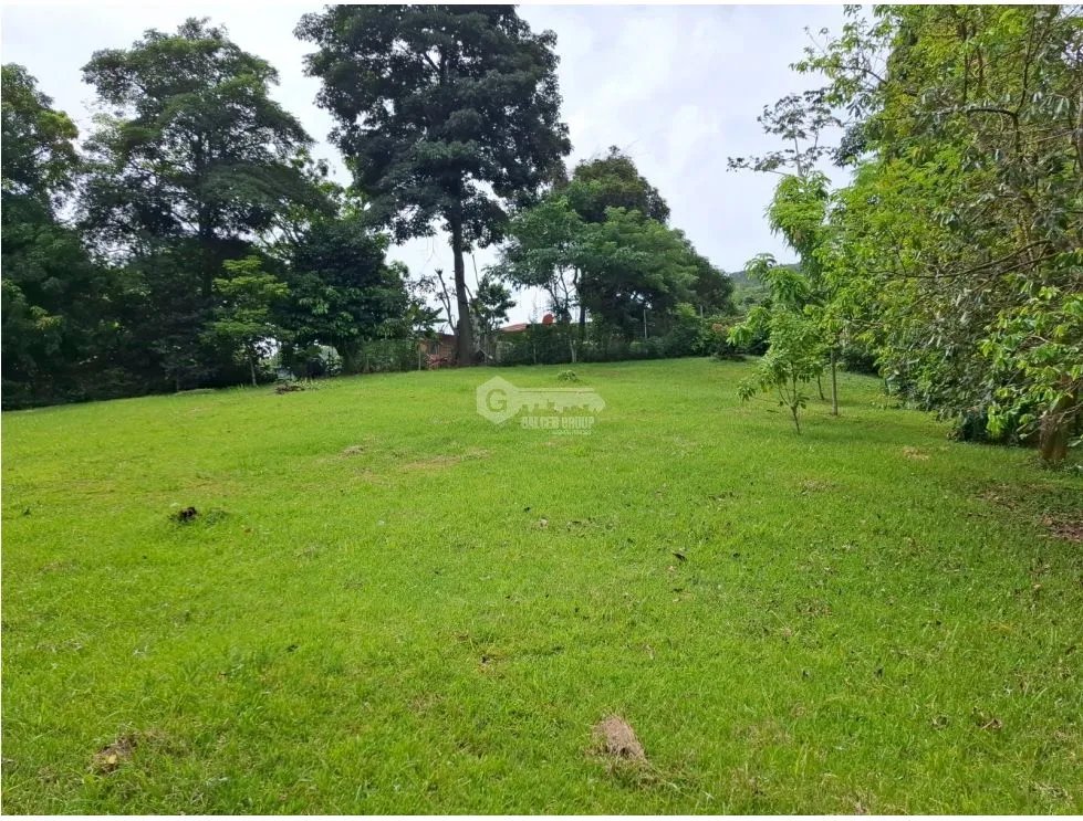 CAPIRA / CAMPANA / 1181 M2 / LAND / GREEN AREAS / COOL CLIMATE