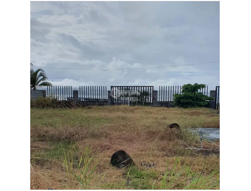 PUNTA CHAME / 1100 M2 / LAND / GREEN AREAS / OCEANFRONT