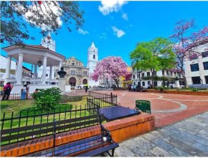 Locales Comerciales en Alquiler Santa Teresita Living