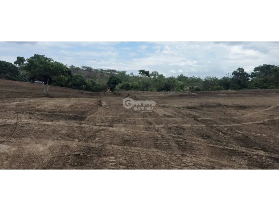 SE VENDE TERRENO TOCUMEN LAS MAÑANITAS 15,000M PLANO PARA INVERSION