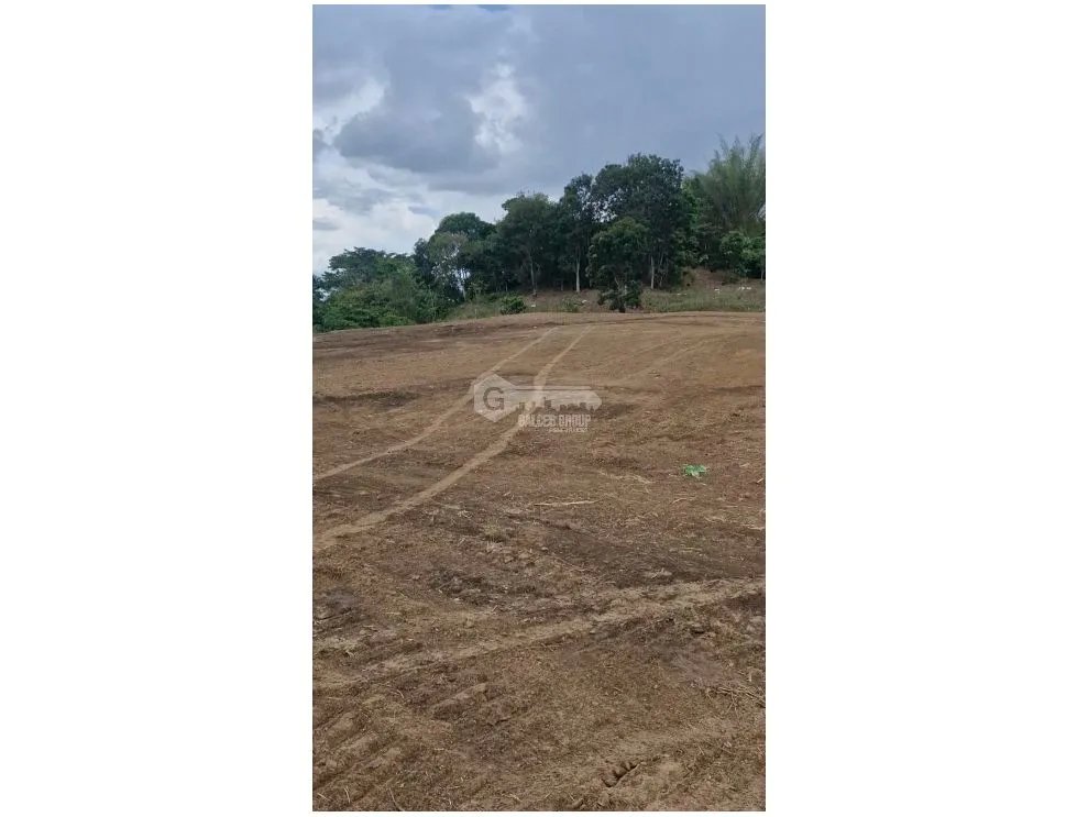 SE VENDE TERRENO TOCUMEN LAS MAÑANITAS 15,000M PLANO PARA INVERSION