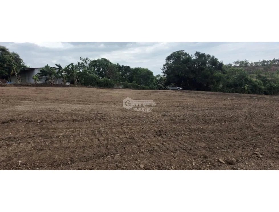 SE VENDE TERRENO TOCUMEN LAS MAÑANITAS 15,000M PLANO PARA INVERSION