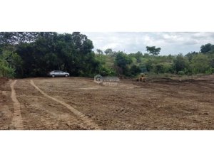 SE VENDE TERRENO TOCUMEN LAS MAÑANITAS 15,000M PLANO PARA INVERSION