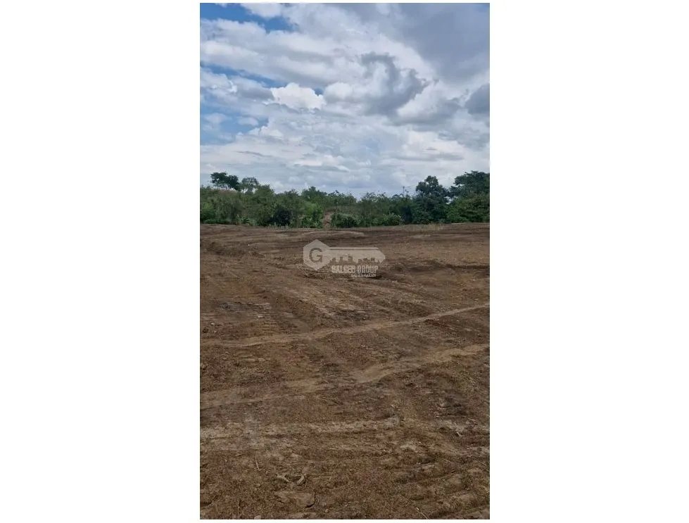 TERRENO / TOCUMEN / LAS MAÑANITAS / 15,000M / PLANO / INVERSION