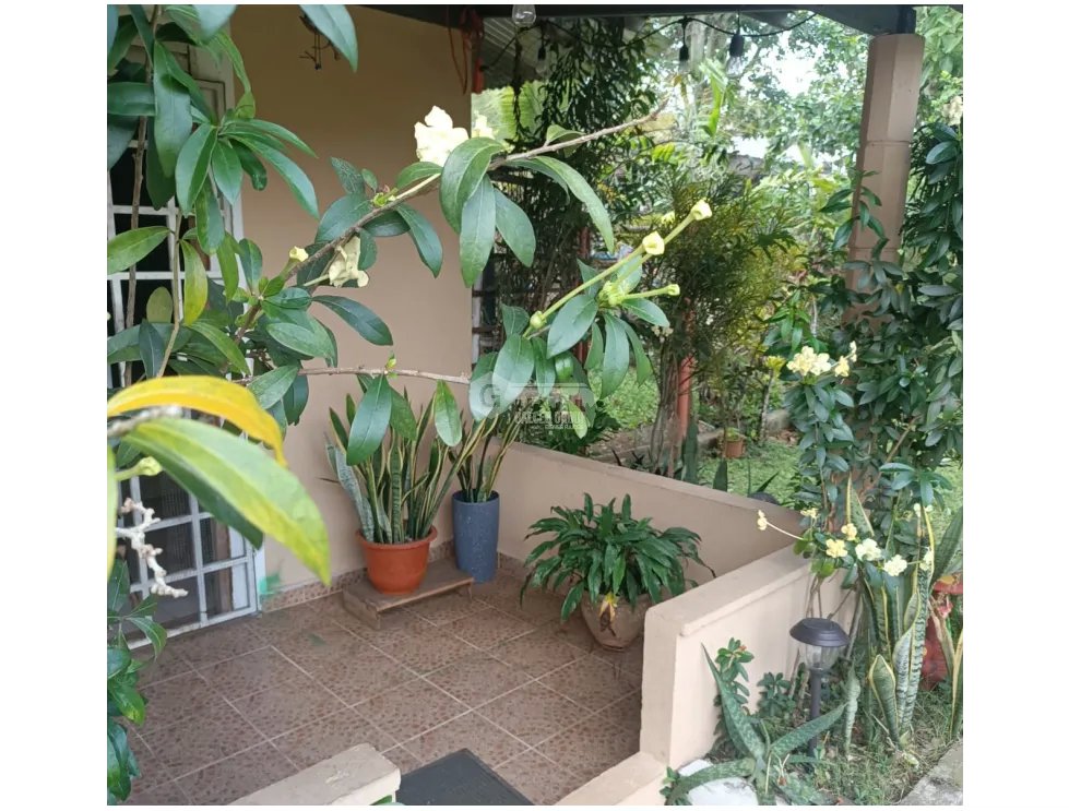 SE VENDE CASA EN CHORRERA  270 M2 CON TERRAZA Y ZONAS VERDES