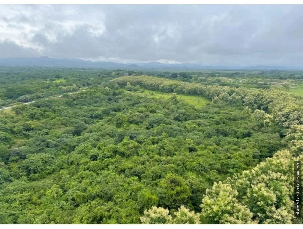 JUNIOR PENTHOUSE FOR SALE | PH LAS OLAS II – VISTA MAR, SAN CARLOS