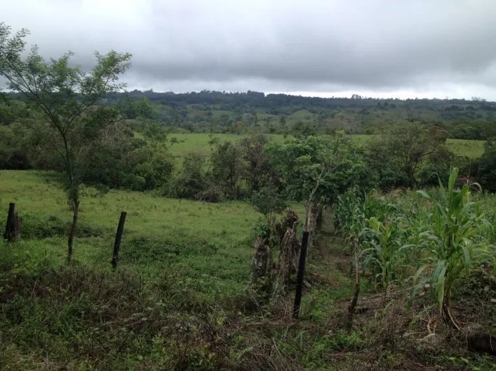 Farm in the highlands of Chiriqui