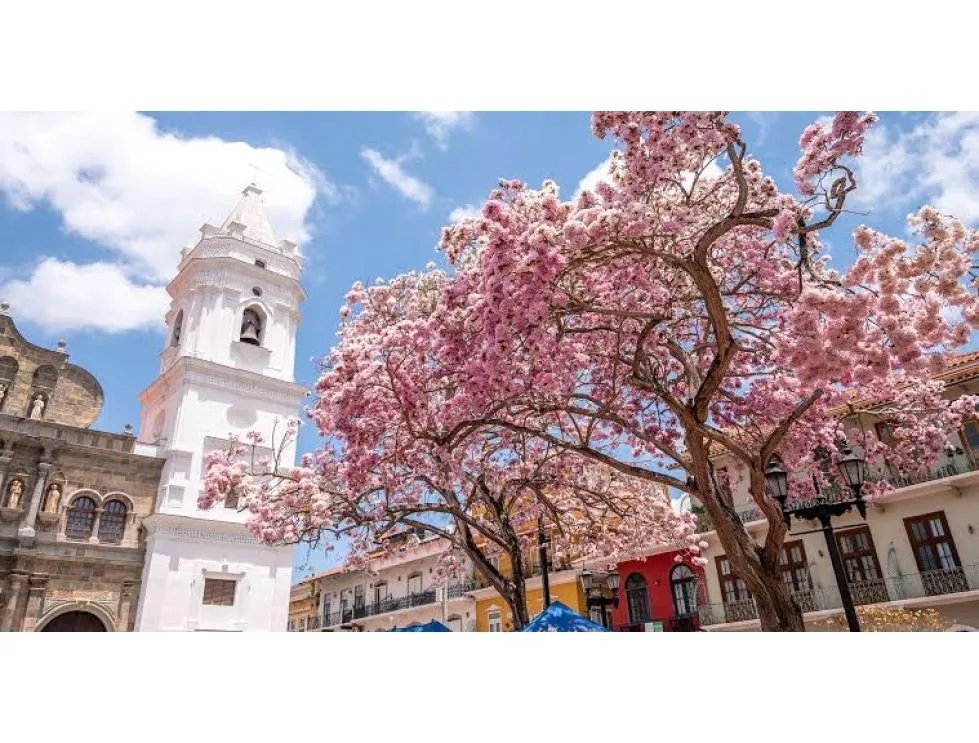 Local Comercial en Alquiler en Casco Antiguo PH Santa Teresita Living